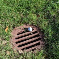 The Wilderness Golf Course - Bad lay.