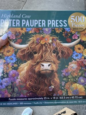 Hello Sunshine by null