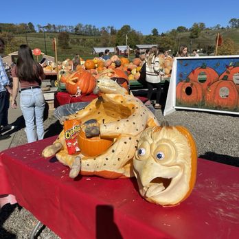 Trax Farms - pumpkins - Fruits & Veggies Near Me - Finleyville, Pennsylvania