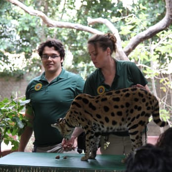Wildlife Learning Center - Zoos Near Me - Sylmar, California Wildlife Learning Center - Zoos Near Me - Sylmar, California