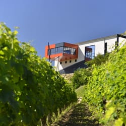 Château la Croizille