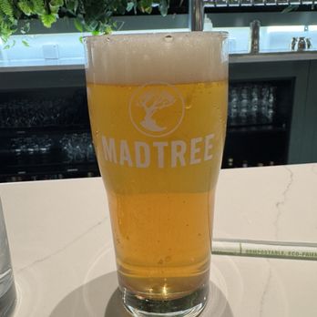Alcove - Skygazer (Citrus Wheat Ale) - Venues & Event Spaces Near Me - Cincinnati, Ohio Alcove - Skygazer (Citrus Wheat Ale) - Venues & Event Spaces Near Me - Cincinnati, Ohio