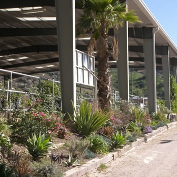 Courtship Ranch - Yes, a huge arena and the footing is great. - Horseback Riding Near Me - Sylmar, California