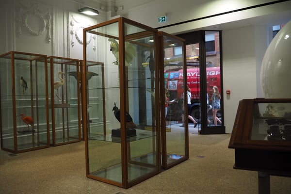 Dover Street Market by null