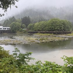 Shahin Tour - Alaska cruise