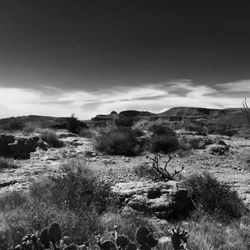 Apache Trail