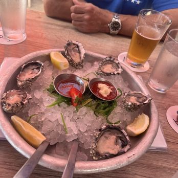 Topsail - Oyster were great! - American Near Me - San Diego, California Topsail - Oyster were great! - American Near Me - San Diego, California