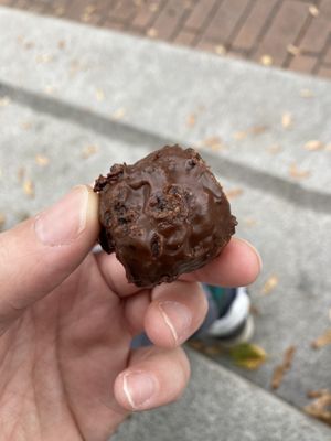 The Grey Jay by null