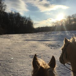 RubyFire Equestrian Center - One of our fields in the snow.