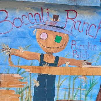 Boccali Ranch Pumpkin Patch - Photo opt spot - Pumpkin Patches Near Me - Ojai, California Boccali Ranch Pumpkin Patch - Photo opt spot - Pumpkin Patches Near Me - Ojai, California