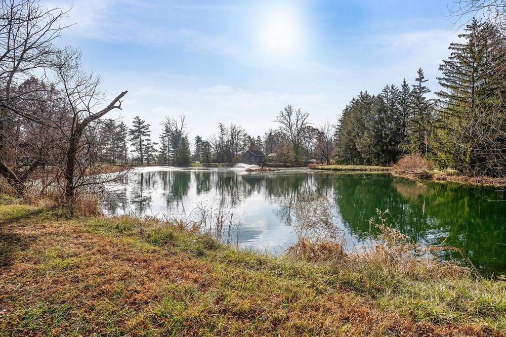 COMPANION CLUB DOG PARK Updated July 2024 6306 Home Rd, Delaware