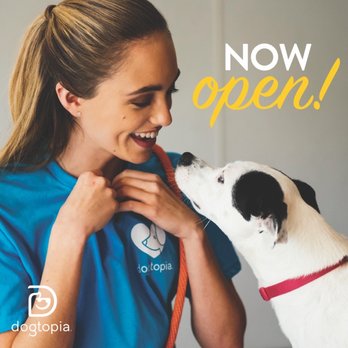Dogtopia - Pet Boarding Near Me - Frisco, Texas