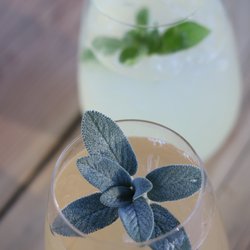 St Clair Brown Winery & Brewery