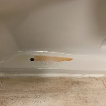 DoubleTree by Hilton Hotel Billings - Dirty toilet - Hotels Near Me - Billings, Montana DoubleTree by Hilton Hotel Billings - Dirty toilet - Hotels Near Me - Billings, Montana
