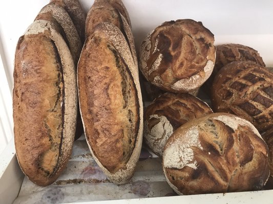 BOULANGERIE MODERNE by null