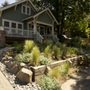 Wild Oasis Landscapes
