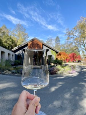 Sinegal Estate Winery by null