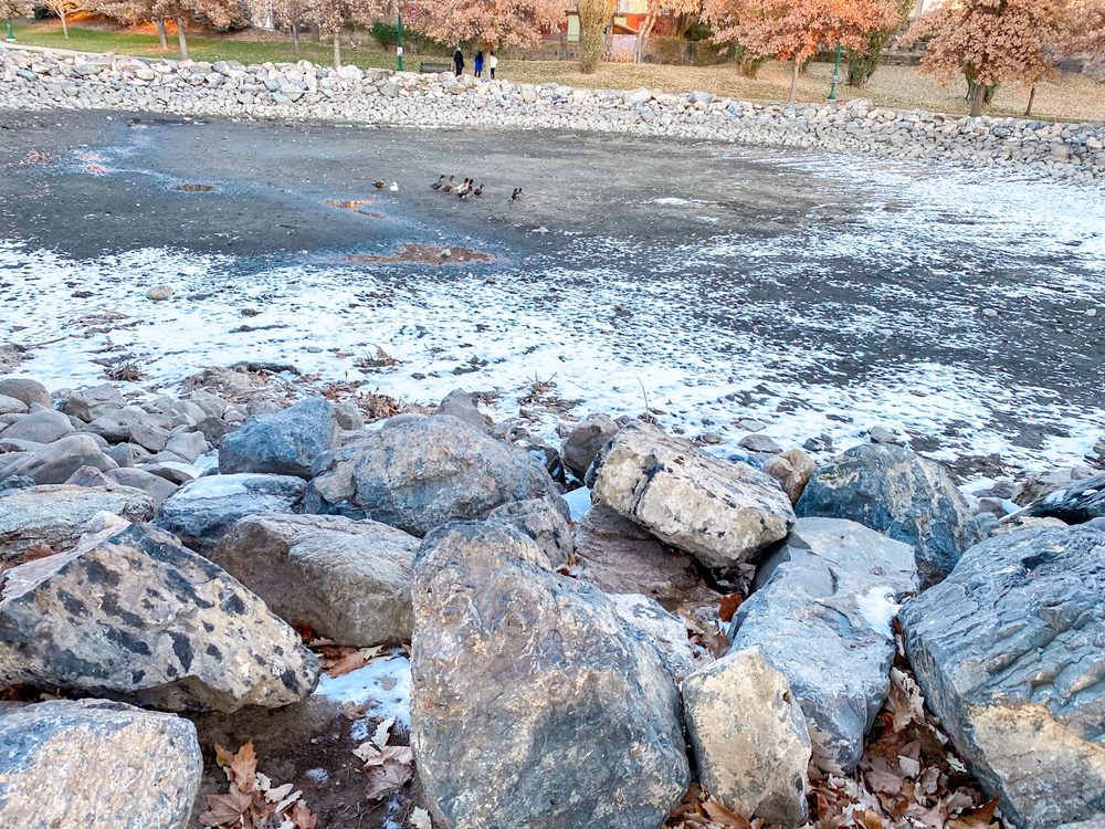 Social spots from Nielsens Grove Park