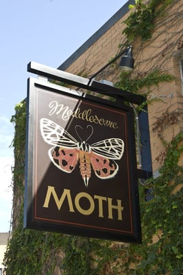 Meddlesome Moth by null
