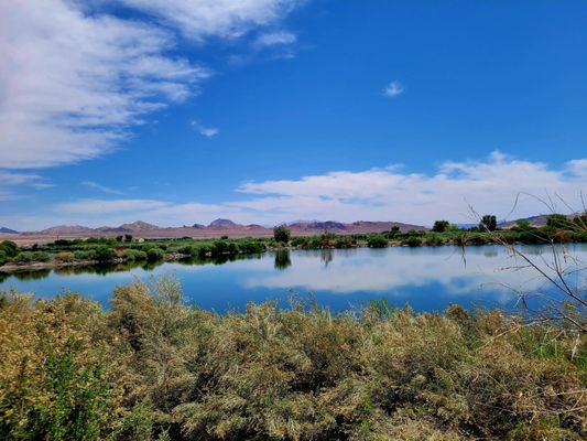 Henderson Bird Viewing Preserve by null