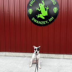 Frogg Brewing