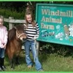 Windmill Animal Farm - Picture from official website http://www.windmillanimalfarm.co.uk