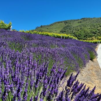 Carmel Valley Ranch - Hotels Near Me - Carmel, California