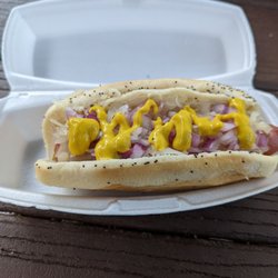 Chicago Stop - New York dog
