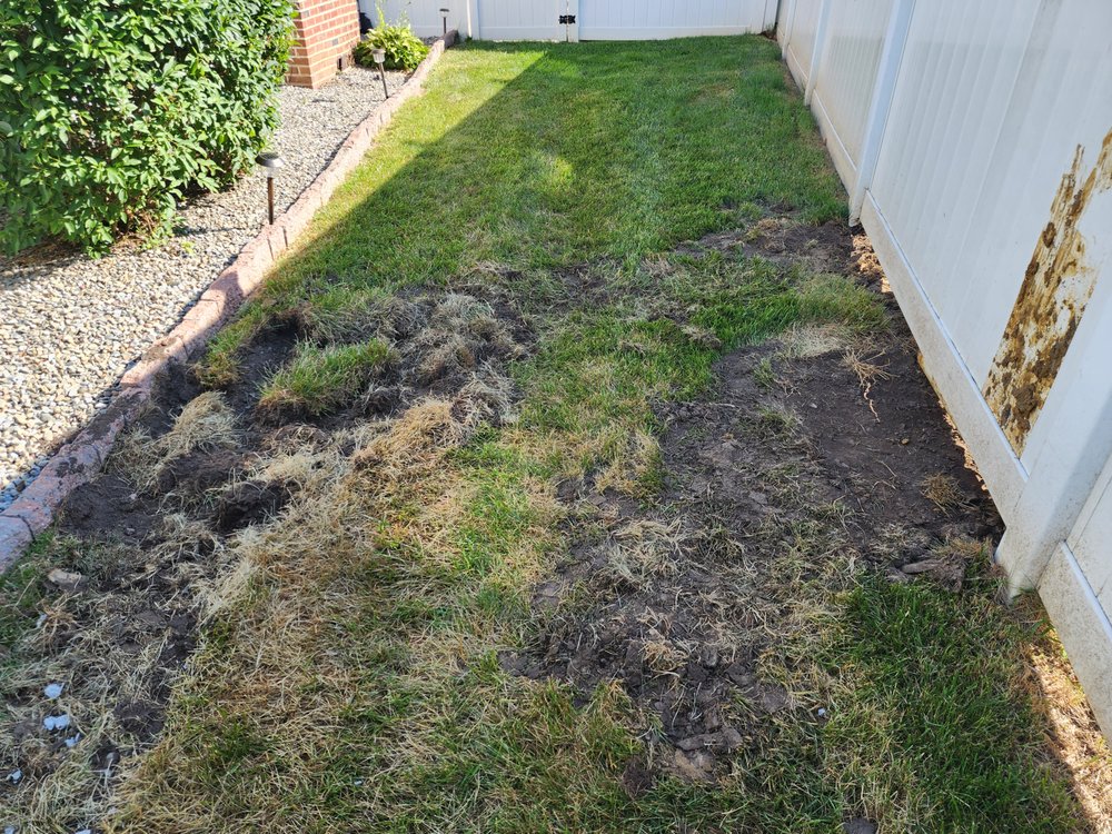 Slide of Fante's Home Services