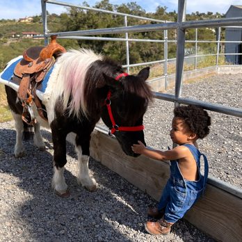 Picture Perfect Ponys - Petting Zoos Near Me - Fallbrook, California