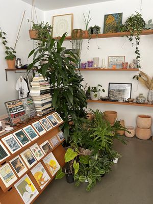 Public Land Store by null