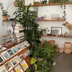 Public Land Store