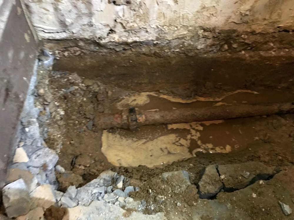 Slide of Anthony's Any Sewer Any Drain