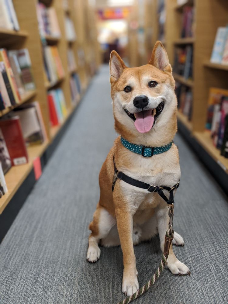 Park Road Books