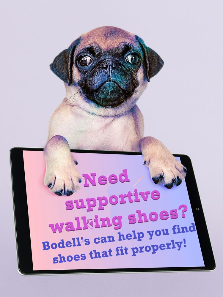 BODELLâS SHOES - 26 Photos & 56 Reviews - Shoe Stores - 4190 N Viking Way, Long Beach, CA 