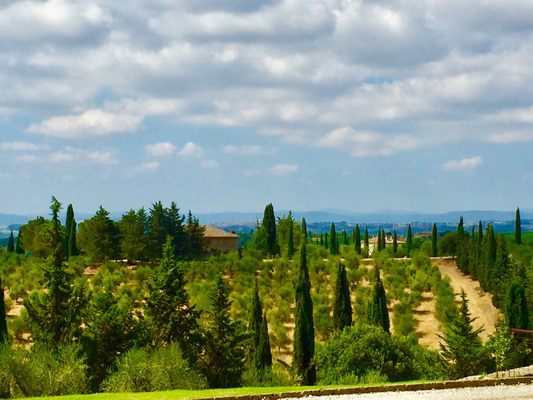 Relais Borgo Scopeto by null
