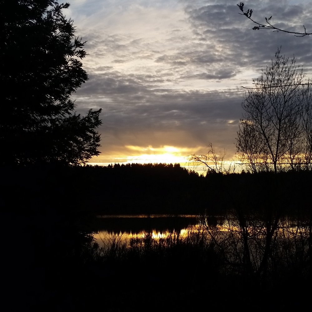 Riverfront Regional Park - Winter sunset at riverfront - Parks Near Me - Healdsburg, California