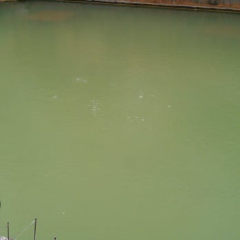 The Roman Baths - bubbles - Museums Near Me - Bath, BAS The Roman Baths - bubbles - Museums Near Me - Bath, BAS
