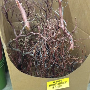 GM Floral - Manzanita branches - Florists Near Me - Los Angeles, California GM Floral - Manzanita branches - Florists Near Me - Los Angeles, California