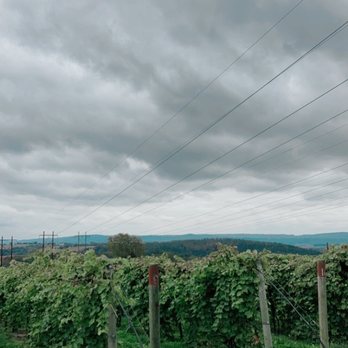 Franklin Hill Vineyards - Stunning views! - Wineries Near Me - Bangor, Pennsylvania Franklin Hill Vineyards - Stunning views! - Wineries Near Me - Bangor, Pennsylvania