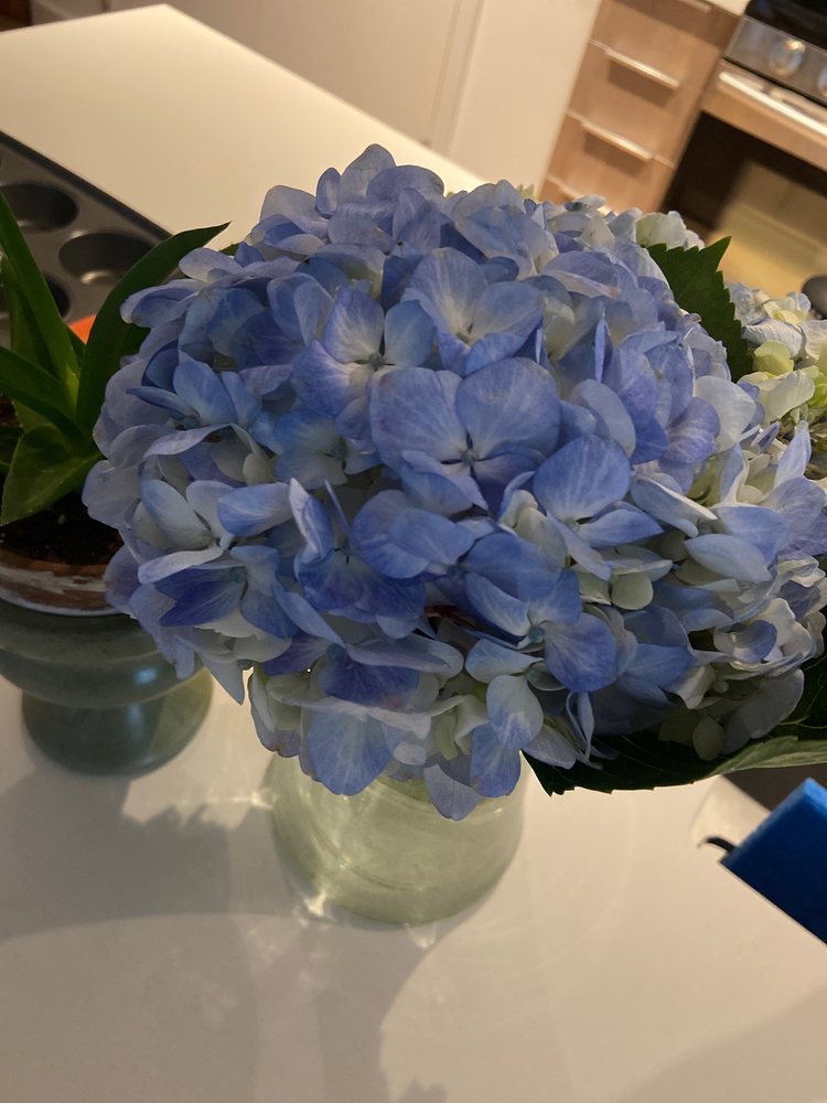 PLAZA EXPRESS FLOWERS Updated September 2024 12 Photos 2702