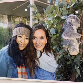 Sydney Wildlife World - Breakfast with the koalas - Zoos Near Me - Darling Harbour, NSW