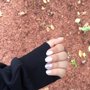 Photo of Ping N Nails