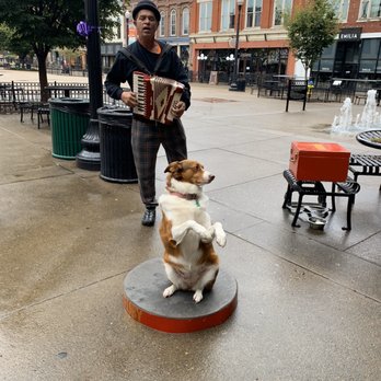 The Tennessean - Ruby the adorable performing dog on Market Street - she was so cute & sweet! - Hotels Near Me - Knoxville, Tennessee The Tennessean - Ruby the adorable performing dog on Market Street - she was so cute & sweet! - Hotels Near Me - Knoxville, Tennessee