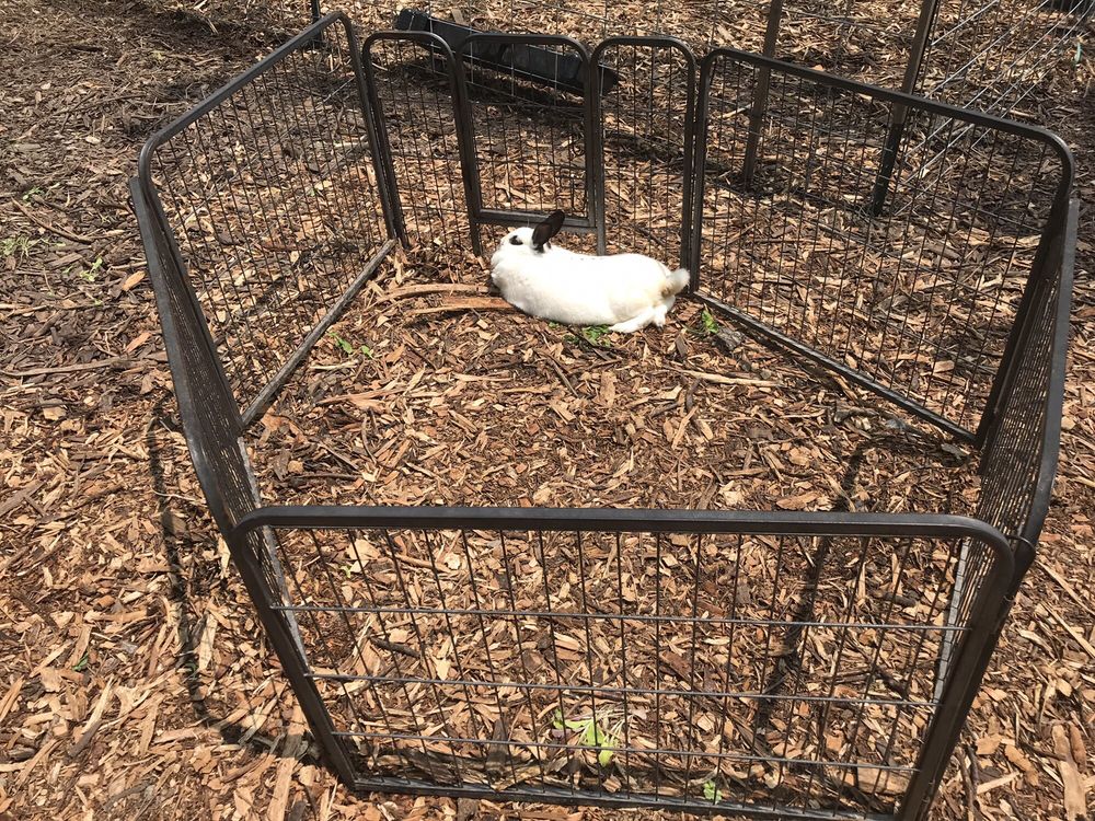 PRANCING PONIES 14 Photos 17873 Joliet Rd, Sheridan, Indiana