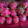 Photo of Local Farmers Market