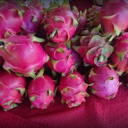 Local Farmers Market