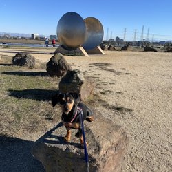 Seal Point Dog Park - Top of the hill at Seal Point.