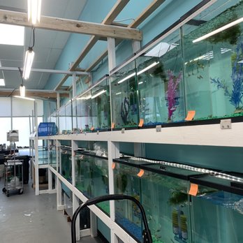 Fish World - Aquarium Services Near Me - Ontario, California