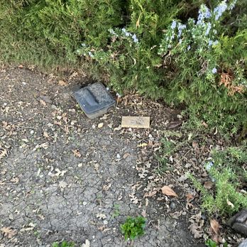 Master Rodent Proofing - This trap has not been changed for over a month nor have any of the other traps been touched.  They never returned after collecting payment - Wildlife Control Near Me